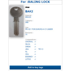 BAK2 (T-KEY) ERREBI