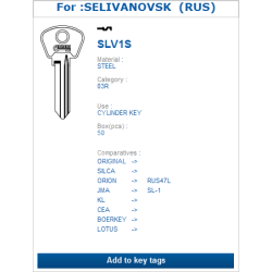 SLV1S (SELIVANOVSK)