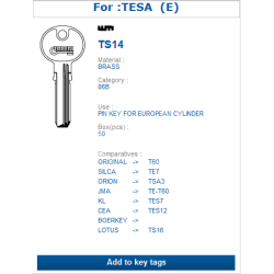 TS14 (TESA)