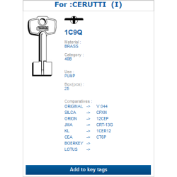 1C9Q (CERUTTI)