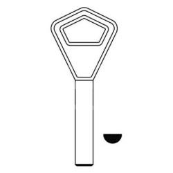 РУСКИ АБЛОЙ