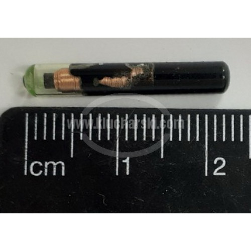 ID48 BIG TRANSPONDER CHIP KD ID48 BIG TRANSPONDER CHIP KD